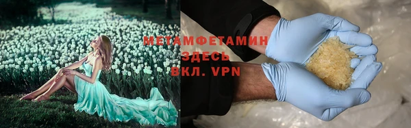 шишки Няндома