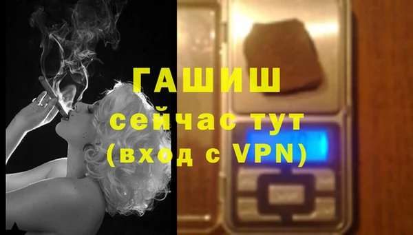 шишки Няндома