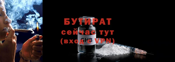 шишки Няндома