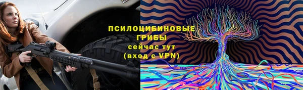 шишки Няндома