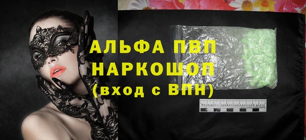 шишки Няндома