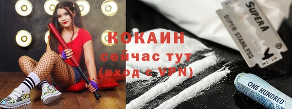 шишки Няндома