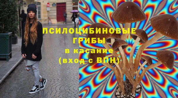 шишки Няндома