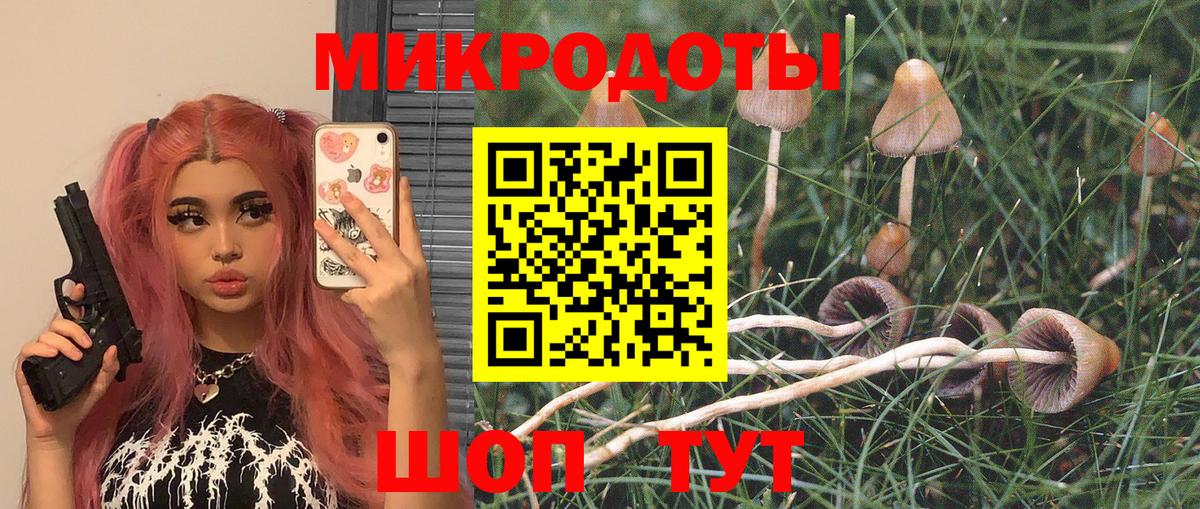 Галлюциногенные грибы Psilocybe Киреевск