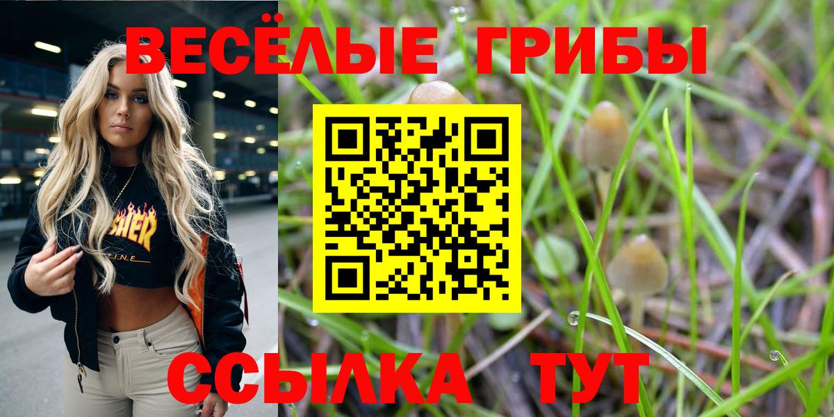 Галлюциногенные грибы Magic Shrooms  Киреевск  Галлюциногенные грибы Cubensis 