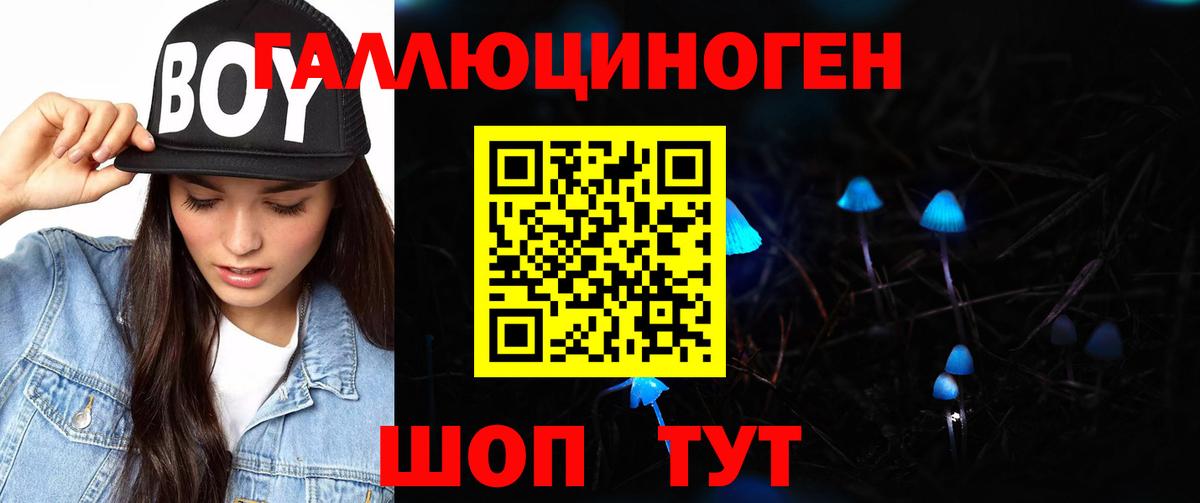 купить  сайты  Псилоцибиновые грибы Psilocybe  Вход с VPN  Киреевск 