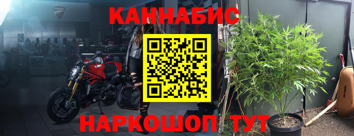 Шишки марихуана план  Вход с VPN  Киреевск  Марихуана сатива 